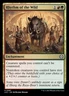 MTG Rhythm of the Wild The Lost Caverns of Ixalan Commander 287 U NM