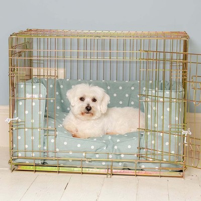 matching dog crate bed