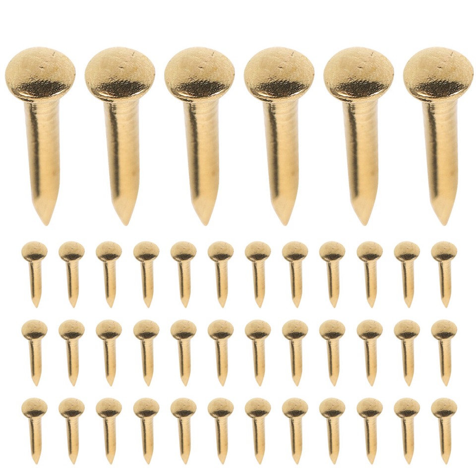200 Pcs Large Copper Nails Nails Assortment Round Head Brass Nails eBay