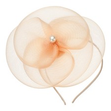 Fascinators Hats for Women, Tea Party Hat Mesh  1Pcs  Champagne