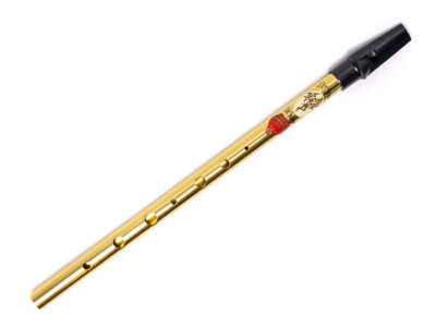 Generation Tin Whistle Elf Song enchantress D-Stimmung Pennywhistle