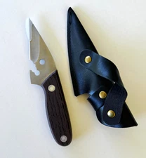 6" Mini Fixed Blade Outdoor Camping Everyday Shark Knife w/Sheath, Free Shipping