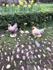 Vivid Arts Hen Chickens & Chicks  Lifelike Garden Ornaments Indoor Outdoor