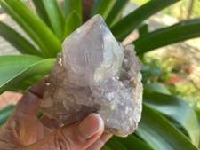 Cactus (Spirit) Quartz Smoky Amethyst large crystal point 0.6kg 10.31cm