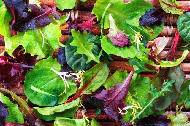 Spring Lettuce Mix - Seeds - Organic - Non Gmo - Heirloom Seeds – Vegetable Seed