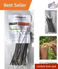 Gourmet Madagascar Grade B Bourbon Vanilla Beans - 2oz - for Desserts & Cooking