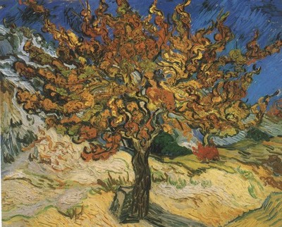 Vincent van Gogh 649 der Maulbeerheilige Remy 1889 Kunstdruck Poster Leinwand Wand D