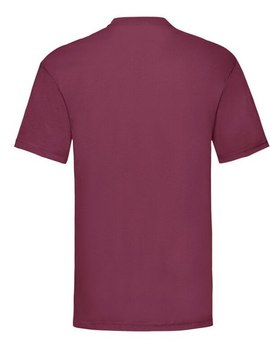 Fruit Of The Loom T Shirts Short Sleeve Men/Women Plain 100% Cotton Top New Tee - Picture 31 of 57
