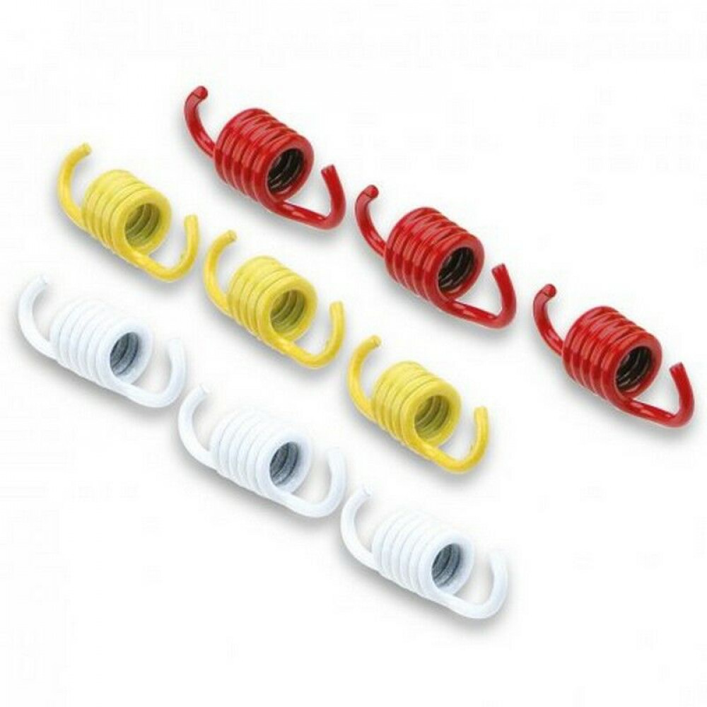 Malossi Clutch Springs 2911326-Piaggio X7 125 ZAPM6210