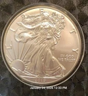 2019 American Silver Eagle .999 pure .