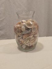 Clear Glass Vase With Seashells