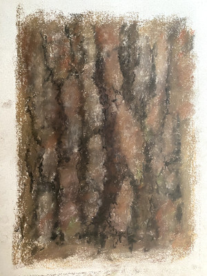 Franz Ehmke 1928 - 2018 Berlin Pastel Baumrinde Details Old