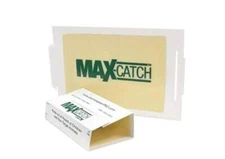 Catchmaster 72Max Glue Board Mouse Insects Trap 36 Count AP&G