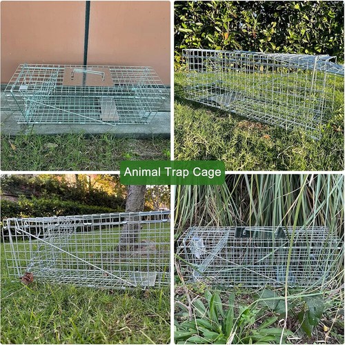 24" Humane Live Animal Trap Cage Catch Release for Rabbit Raccoon Squirrel Mole - Picture 11 of 13