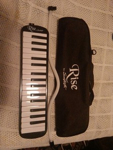 Rise by Sawtooth Melodica