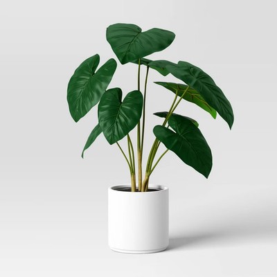 Alocasia Artificial Plant - Threshold