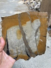 Coprolite Slab (NM)