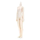 Obitsu Doll 24BD-F02W-M 24cm Obitsu Body, Bust M, New Model, White Japan^