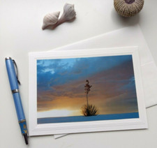 4 Variety Nature Themed Blank Note Cards w/ Envelopes, Photo Greeting cards