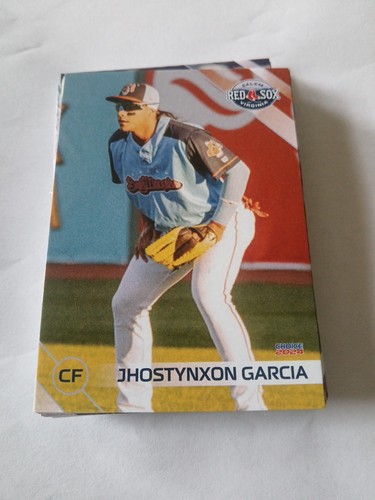 2024 SALEM RED SOX TEAM SET 36 KARTEN Jhosytynxon "Passwort" GARCIA