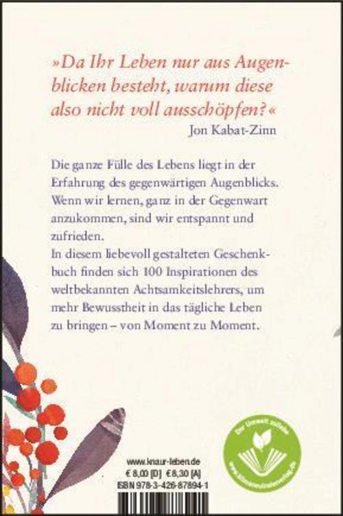 Thumbnail - Jeder Augenblick Kann Dein Lehrer Sein Jon Kabat-zinn