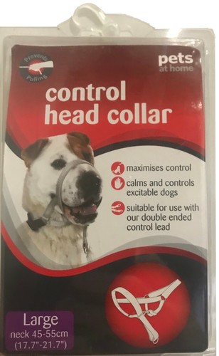 woolworths dog lead