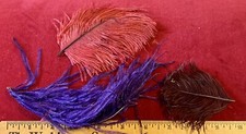 Antique Or Vintage Feathers To Adorn Bonnets For Fashion Or Lady Doll Or Other