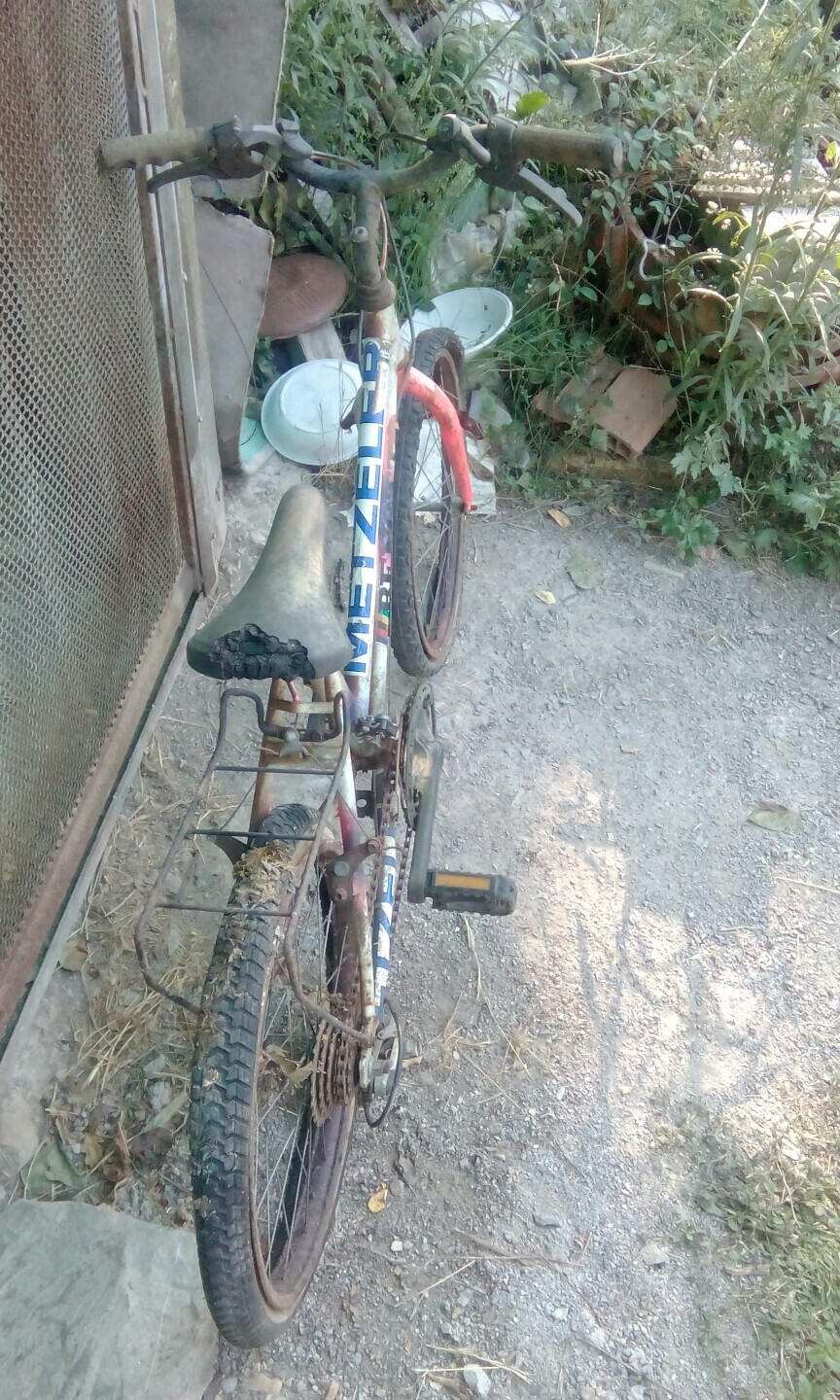 mountain bike benotto foto 2