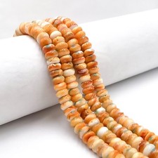 Spiny Oyster with Turquoise Smooth Rondelle Beads Size 4x6mm 4x8mm 16'' Strand