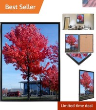 Versatile 11x14 Black Document Frame - Ideal for Certificates  Photos