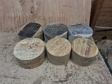 Black Walnut Silver Poplar Wood Turning Bowl Blanks