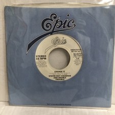 STEVIE RAY VAUGHAN / CHANGE IT (3405731)