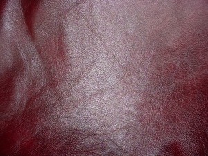 Baltimore hotel hookup