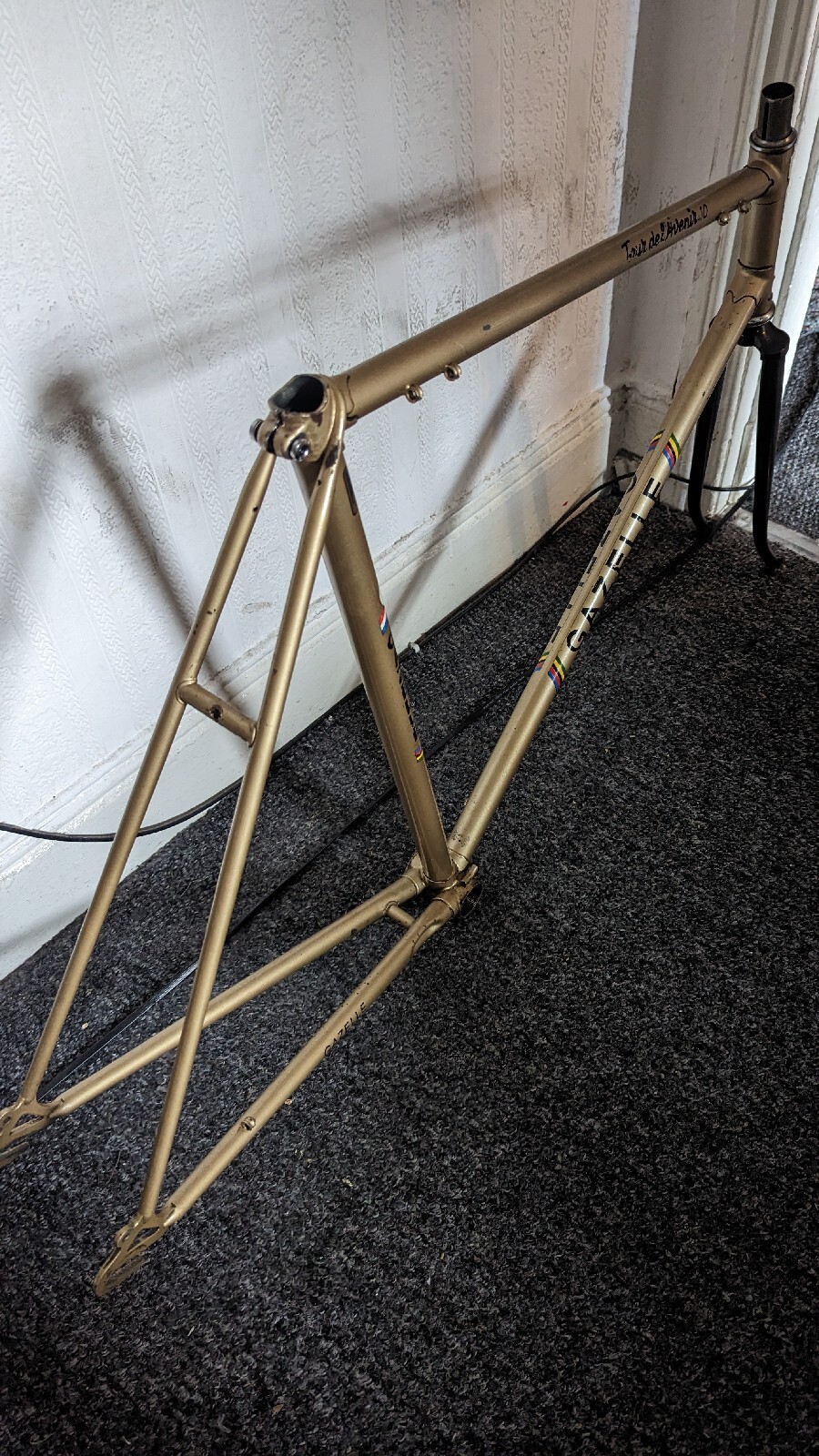 Gazelle 531 vintage Bicycle Frame eBay