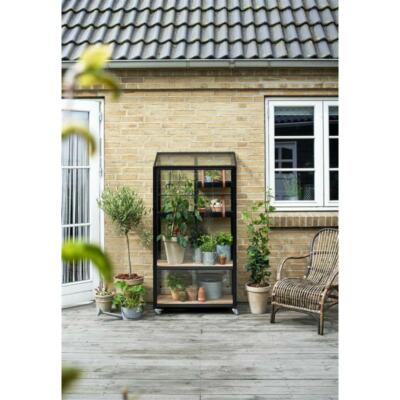 Juliana Gewächshaus City Greenhouse 4 mm Sicherheitsglas 0,32 m²