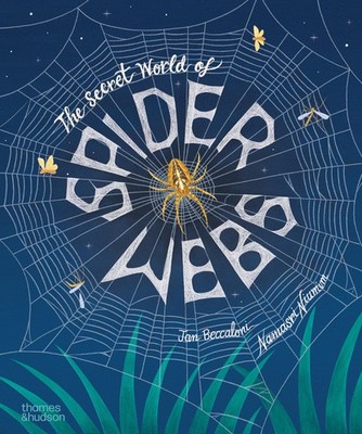 The Secret World of Spiderwebs by Beccaloni