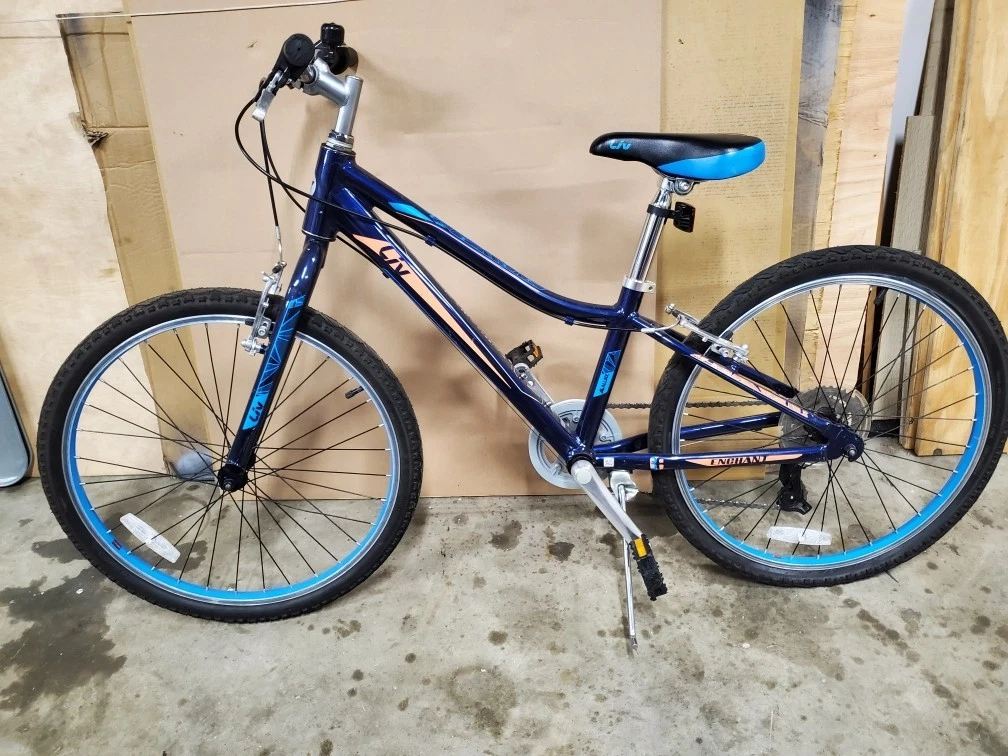 Preços baixos em Roda Giant 24 em Bikes | eBay