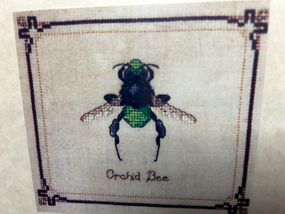 Pangaea DIMPLE DESIGNS Beasties EMERALD ORCHID BEE Cardstock/paper graph only