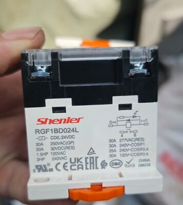 NEW Shenler RGF1BD024L High-power Relay