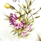 Bild 6 von 12