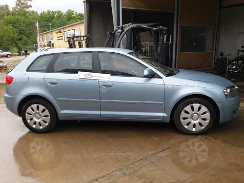 8P0857607 Asidero Techo Trasero Izquierdo para AUDI A3 SPORTBACK (8PA) 4020071 - Imagen 7 de 10