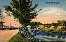 Cartolina Florida FL Everglades Tamiami Trail Cypress Swamps Seminole Indians Bus