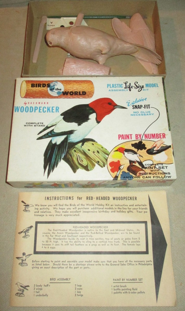 Vintage Birds of The World by Bachmann Woodpecker Plastic Life