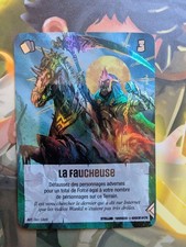 CARTE WANKUL FAUCHEUSE ARGENT TERRACID STELLAR 176