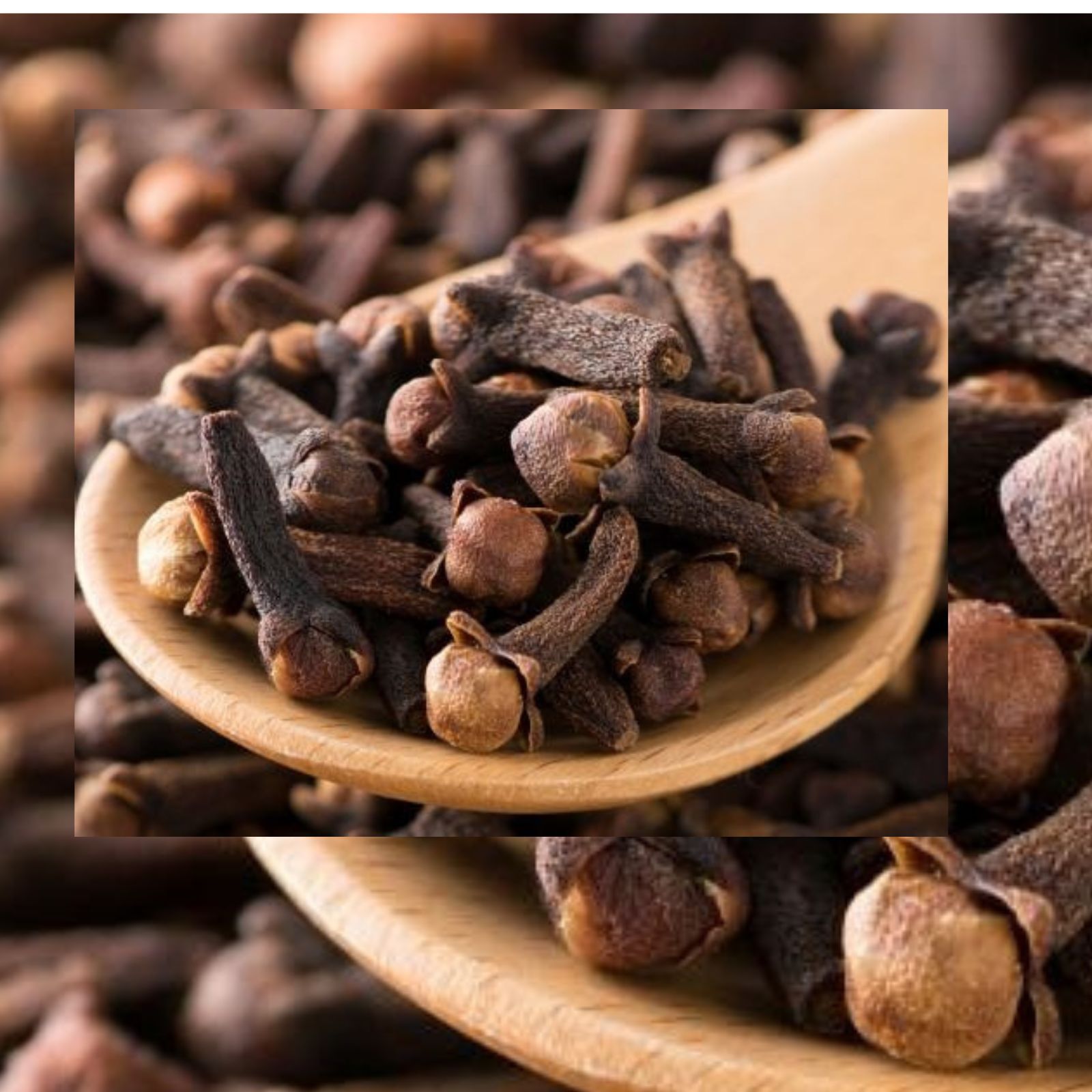 5000+Whole Cloves fresh Highest Quality100 Natural Form Sri Lanka