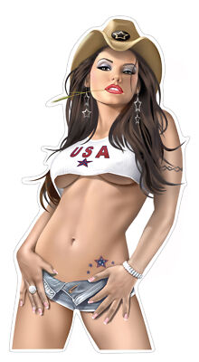 PinUp Aufkleber Miss USA  Cowgirl Sticker ca. 18x9 cm Retro Autoaufkleber 