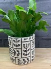 Indoor Rustic Style Plant/Flower Pot With Black Aztec Embossed Leaf Design
