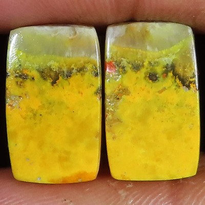 natural BUMBLE BEE JASPER pair cushion cabochon gemstone 19.40 Cts. (10x18x4 mm)