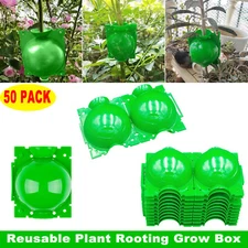 50 x Green Plant Root Grow Balls Layer Pod High Pressure Propagation Box Device