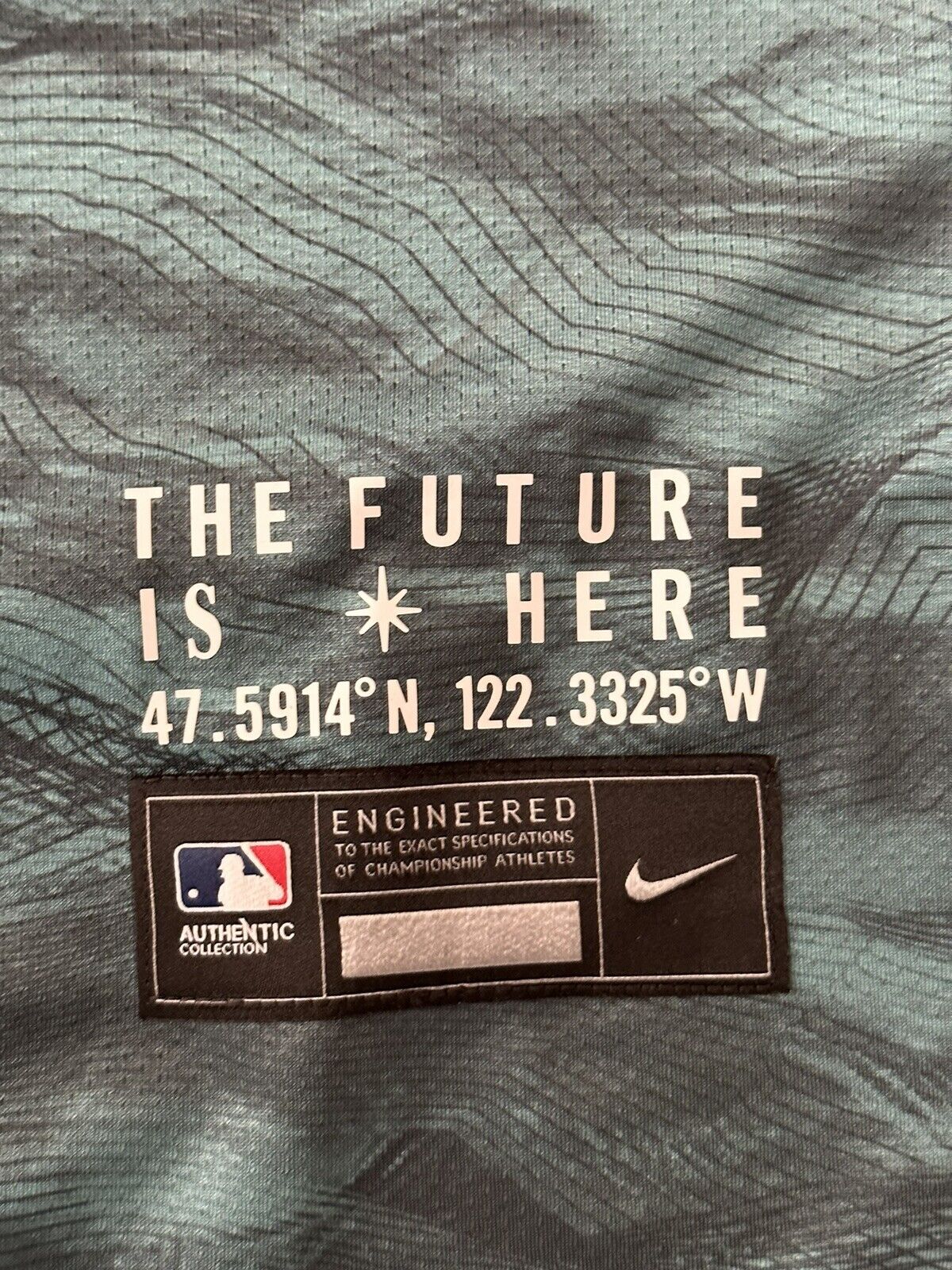 2023 MLB All Star Game Shohei Ohtani Jersey Nike Authentic In Hand! Size 44